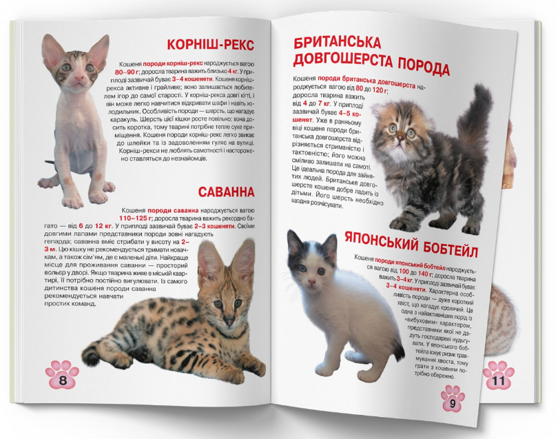Велика книжка. Кошенята. Crystal Book. - фото 4