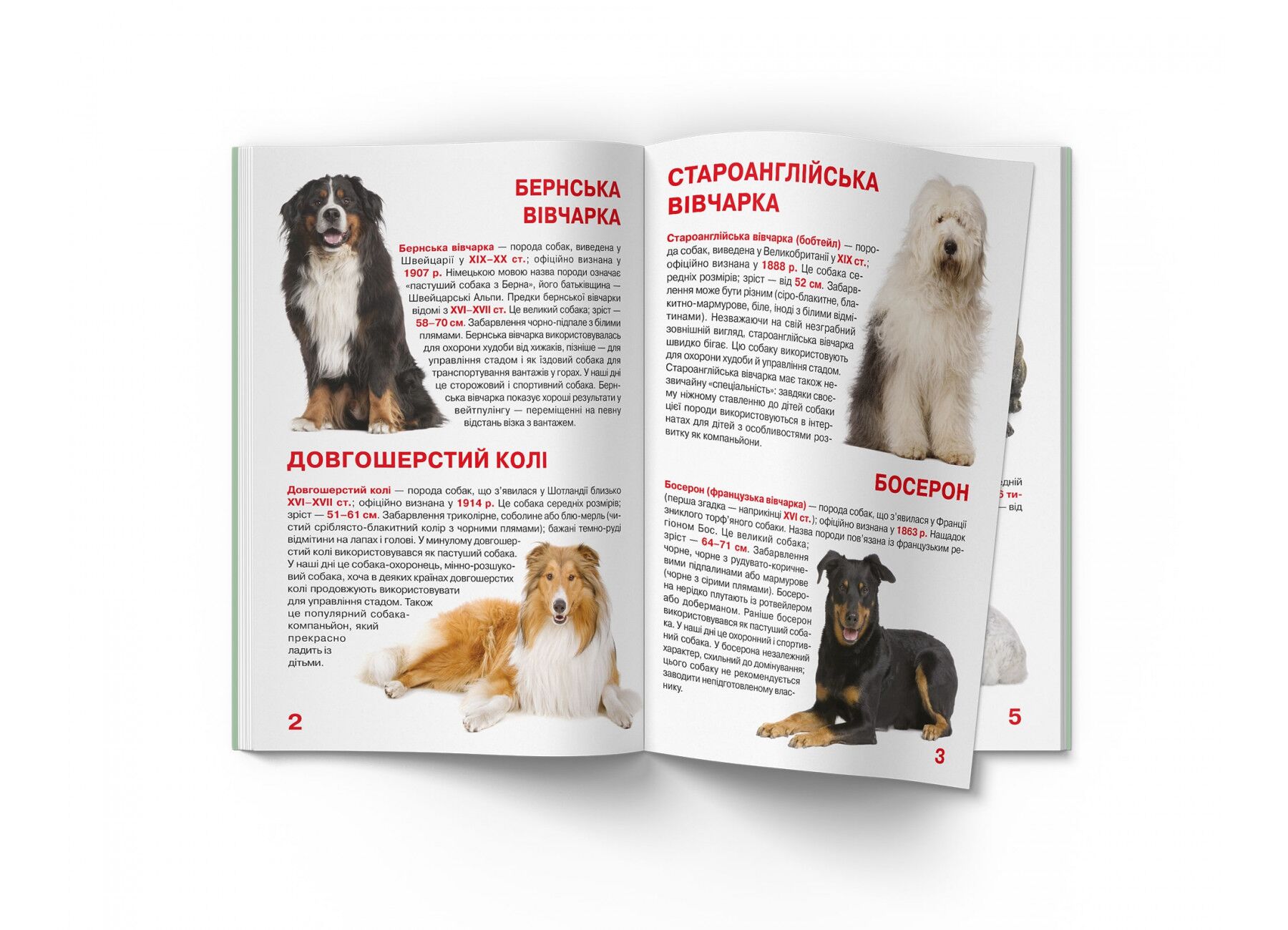 Велика книжка. Службові собаки. Олег Завязкин. Crystal Book. - фото 2