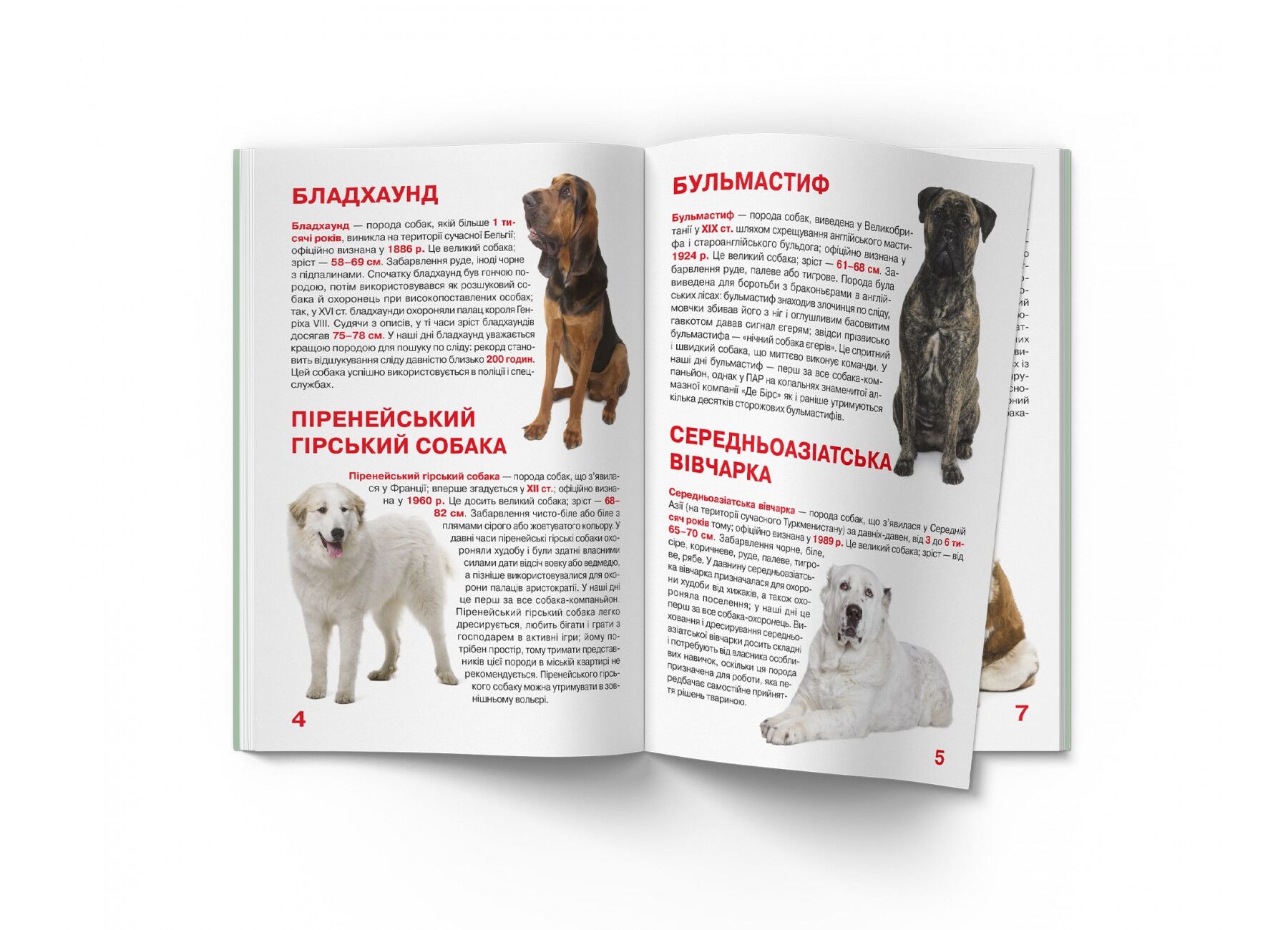 Велика книжка. Службові собаки. Олег Завязкин. Crystal Book. - фото 3