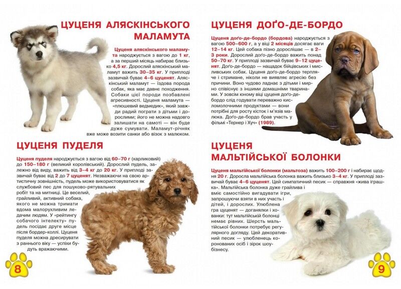 Велика книжка. Цуценята - фото 3