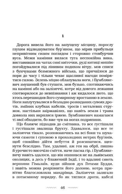 Мальва Ланда Авт: Юрій Винничук Вид-во: А-БА-БА-ГА-ЛА-МА-ГА - фото 5