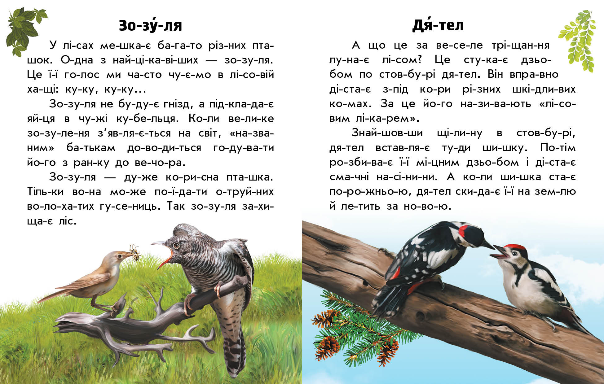 Тварини лісів - фото 3