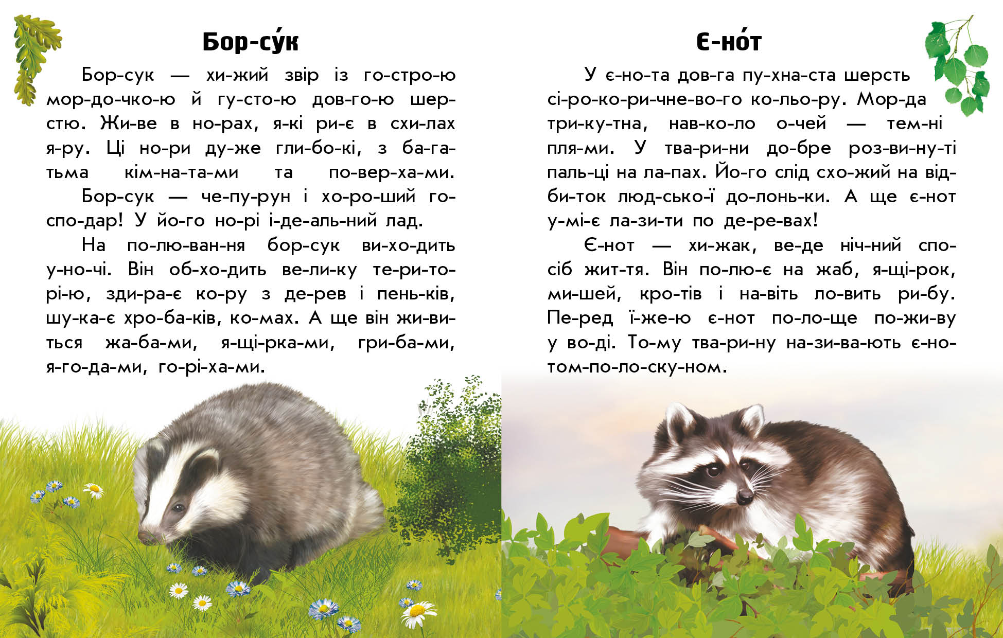 Тварини лісів - фото 4