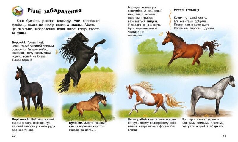 Коні. Енциклопедія дошкільника - фото 3