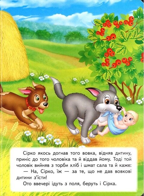 Сірко. Казкова мозаїка - фото 2