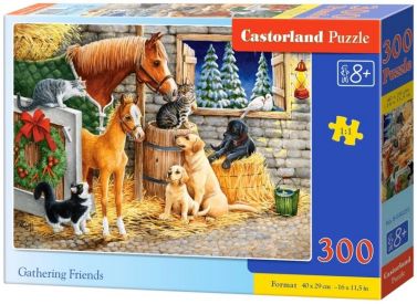 Castorland Puzzle 300. Gathering Friends / Збір друзів - Пазли