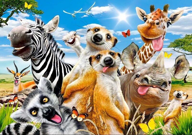 Castorland Puzzle 500. African Selfie / Африканське селфі - фото 2
