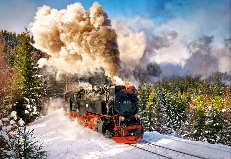 Castorland Puzzle 1000. Steam Train / Паровоз - фото 2