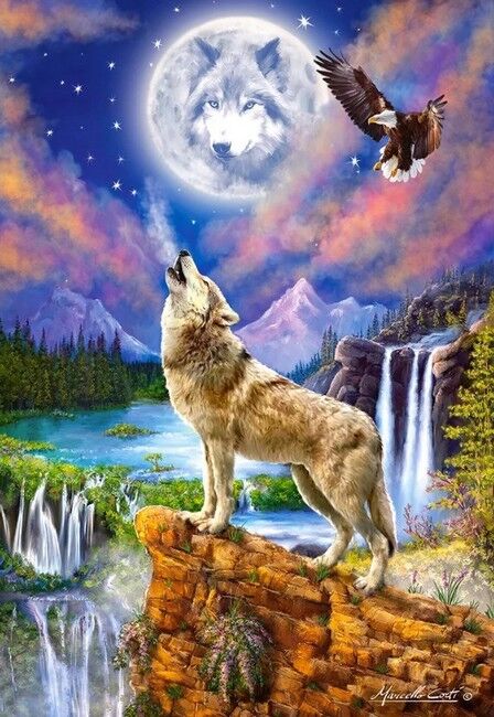 Castorland Puzzle 1500. Wolfs Night / Ніч вовка - фото 2