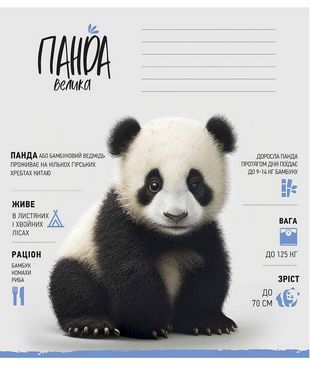 Зошит учнівський, 12арк., у клітинку, ВД-лак, Школярик - Шкільні зошити та словники