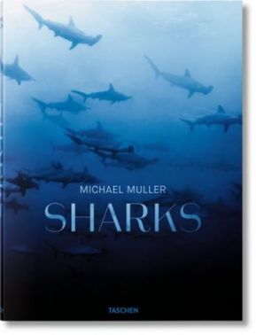 SHARKS - Фотографія