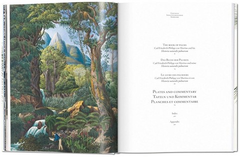 Martius. The Book of Palms - фото 2
