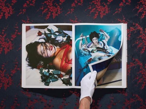 Araki. Bondage - фото 4