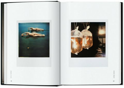 The Polaroid Book. 40th Ed. - фото 3