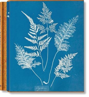 Anna Atkins. Cyanotypes Anna Atkins. Cyanotypes