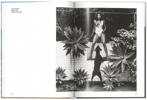 Helmut Newton - фото 8