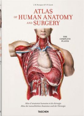 Bourgery. Atlas of Human Anatomy and Surgery (Multilingual Edition) Bourgery. Atlas of Human Anatomy and Surgery (Multilingual Edition) - Творчість