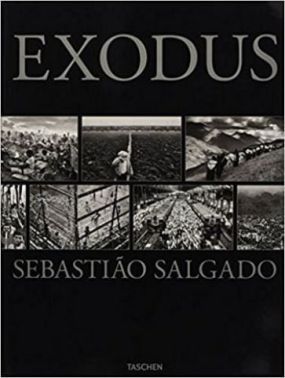 SALGADO-Exodus
