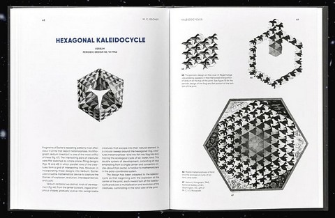 M.C. Escher. Kaleidocycles - фото 12