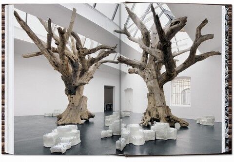 Ai Weiwei. 40th Anniversary Edition (QUARANTE) (Multilingual Edition) - фото 8