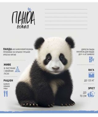 Зошит учнівський, 12арк., у косу лінію, ВД-лак, Star (012-3279C) - Шкільні зошити та словники