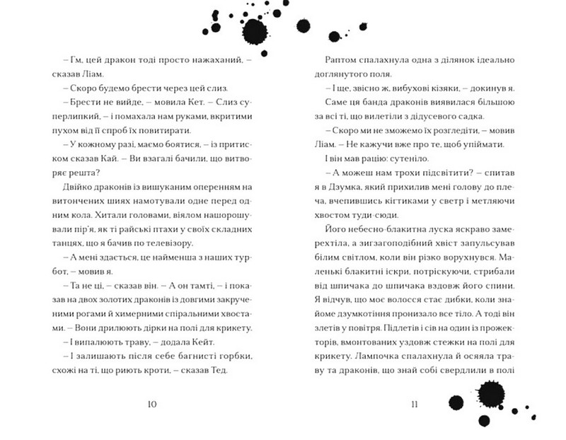 Хлопчик, який співав з драконами. Книга 5 - фото 4