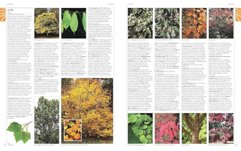RHS A-Z Encyclopedia of Garden Plants. 4th edition - фото 4