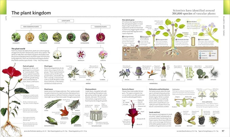 The Visual Encyclopedia - фото 3