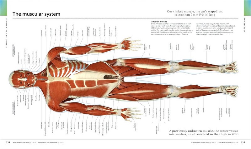 The Visual Encyclopedia - фото 6