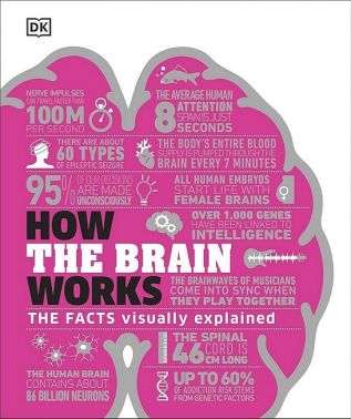 How the Brain Works Авт: Колектив авторів Вид-во: DK How the Brain Works Авт: Колектив авторів Вид-во: DK - Природні науки