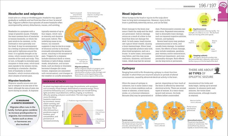 How the Brain Works Авт: Колектив авторів Вид-во: DK - фото 7