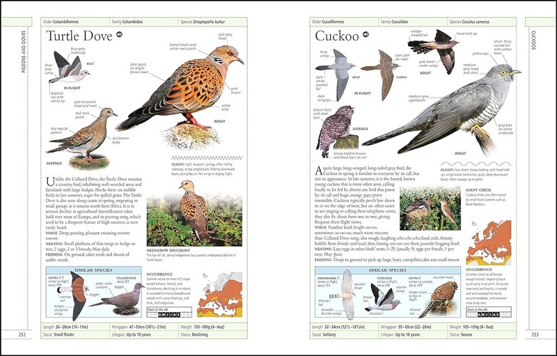 RSPB Complete Birds of Britain and Europe - фото 5
