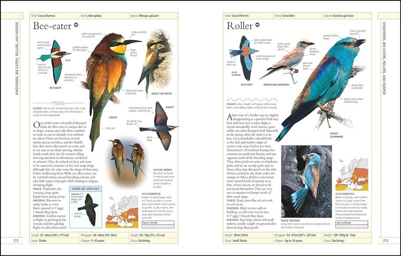 RSPB Complete Birds of Britain and Europe - фото 6