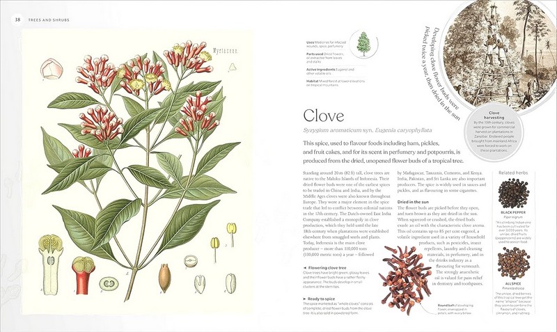 The Herb Book. The Stories, Science, and History - фото 3