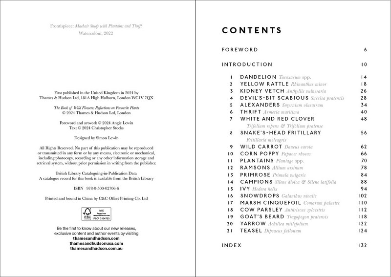 The Book of Wild Flowers. Reflections on Favourite Plants - фото 2