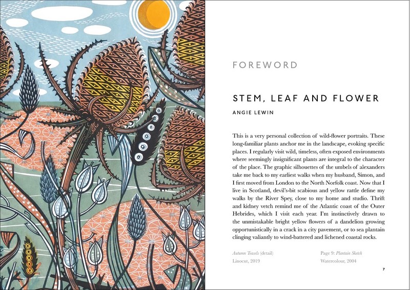 The Book of Wild Flowers. Reflections on Favourite Plants - фото 3