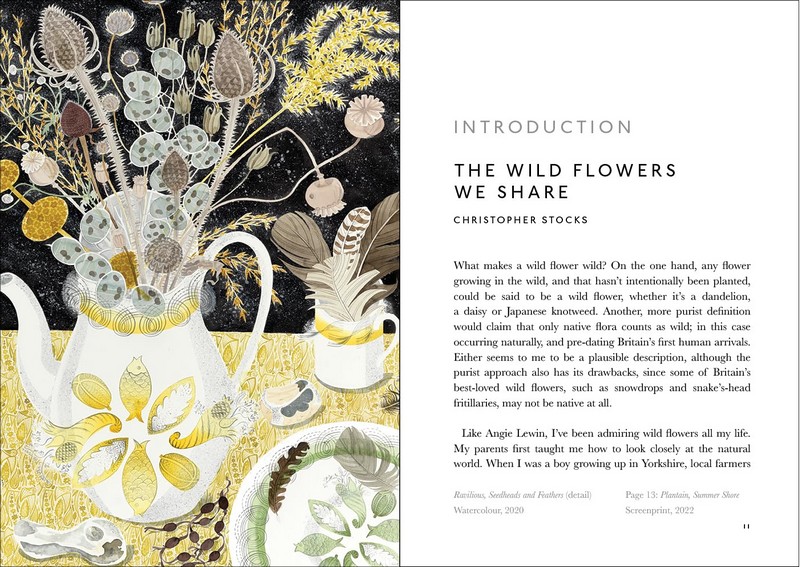 The Book of Wild Flowers. Reflections on Favourite Plants - фото 4