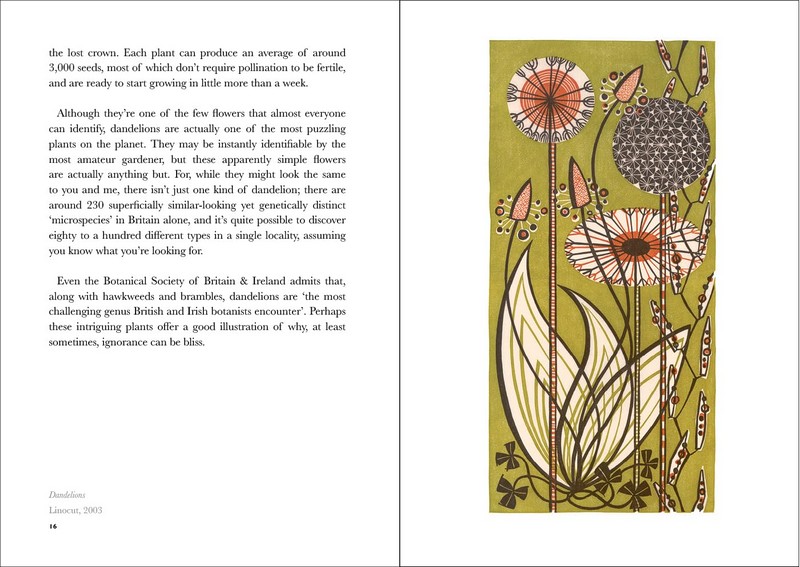 The Book of Wild Flowers. Reflections on Favourite Plants - фото 5