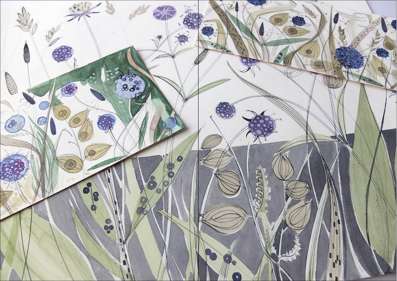The Book of Wild Flowers. Reflections on Favourite Plants - фото 6