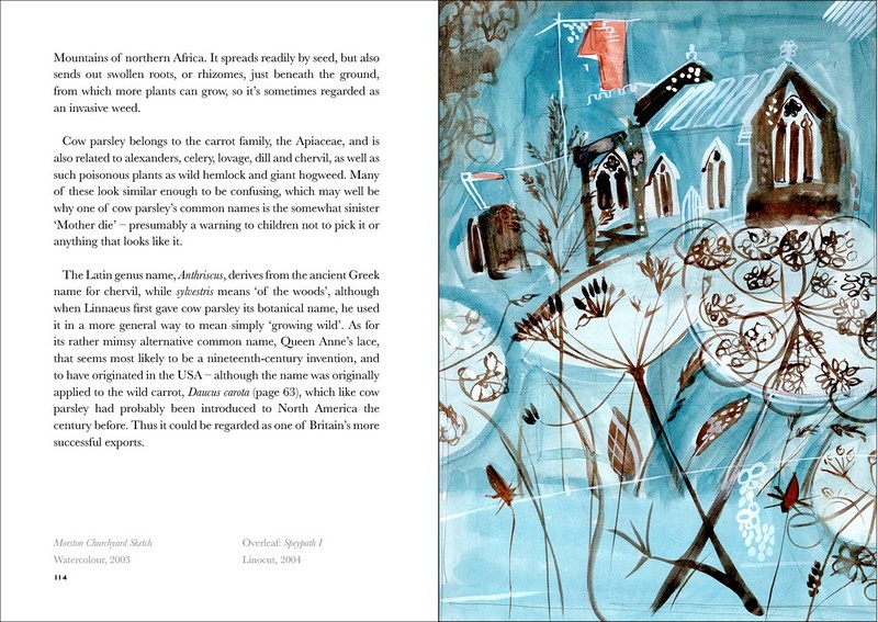 The Book of Wild Flowers. Reflections on Favourite Plants - фото 8