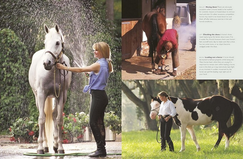 Complete Horse Care Manual - фото 2