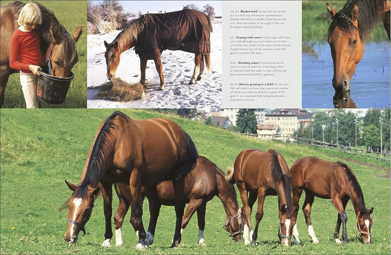 Complete Horse Care Manual - фото 7