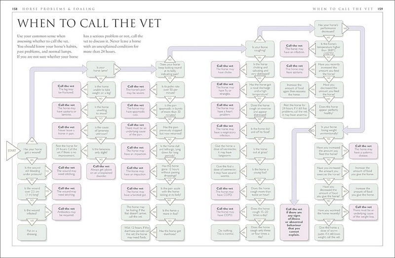 Complete Horse Care Manual - фото 8