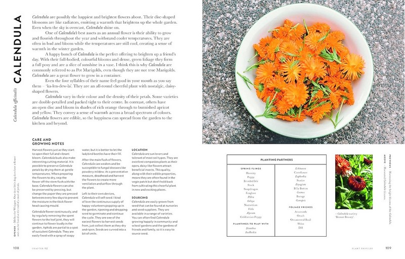 Super Bloom. A Field Guide to Flowers for Every Gardener - фото 3