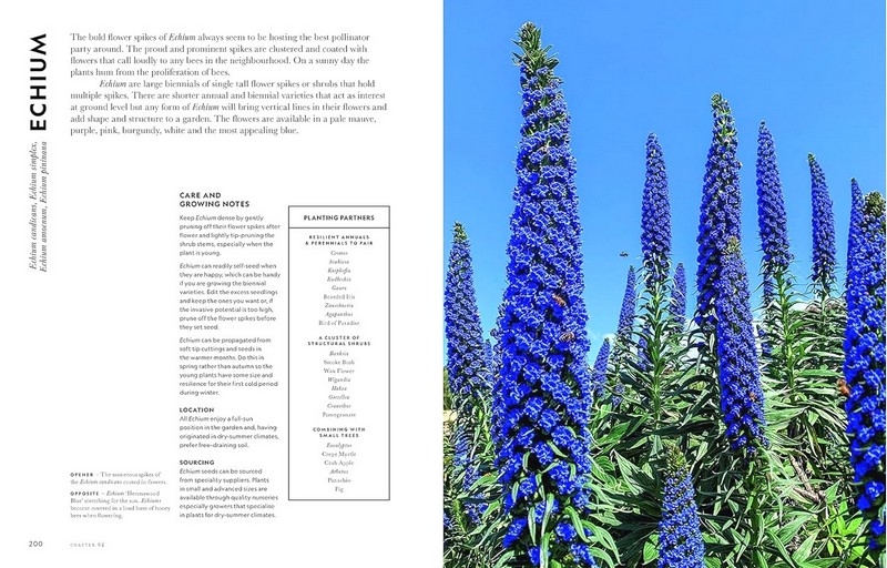 Super Bloom. A Field Guide to Flowers for Every Gardener - фото 6
