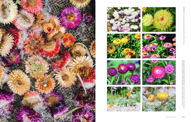 Super Bloom. A Field Guide to Flowers for Every Gardener - фото 8