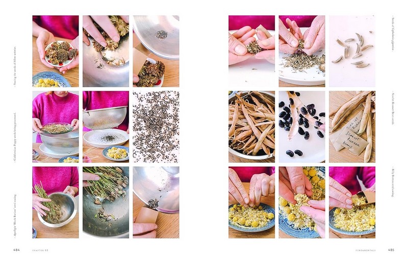 Super Bloom. A Field Guide to Flowers for Every Gardener - фото 11