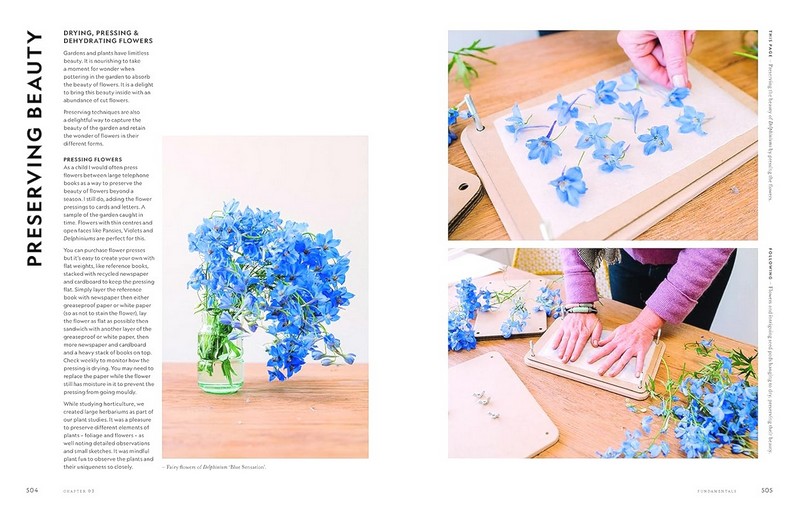 Super Bloom. A Field Guide to Flowers for Every Gardener - фото 12