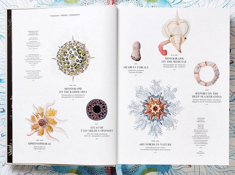 The Art and Science of Ernst Haeckel Авт: Rainer Willmann Julia Voss Вид-во: Taschen - фото 3