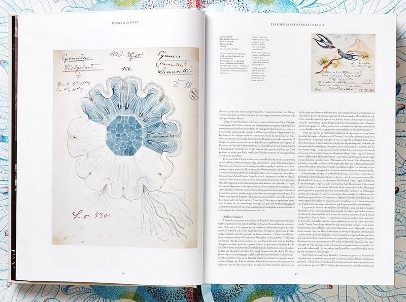The Art and Science of Ernst Haeckel Авт: Rainer Willmann Julia Voss Вид-во: Taschen - фото 4